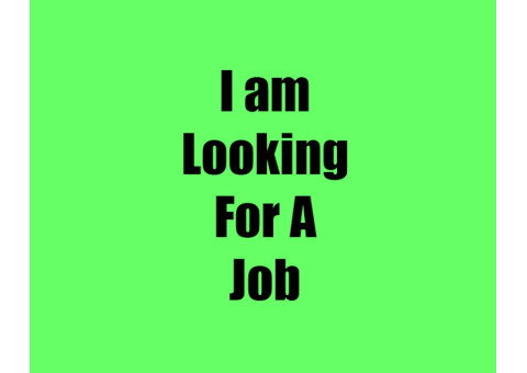 Freelance Interior Designer, 9 Years Experience, Licensed